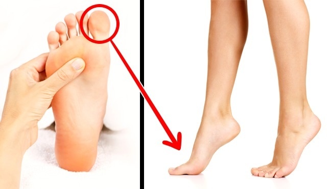 Bo phan huu ich tren co the anh 1