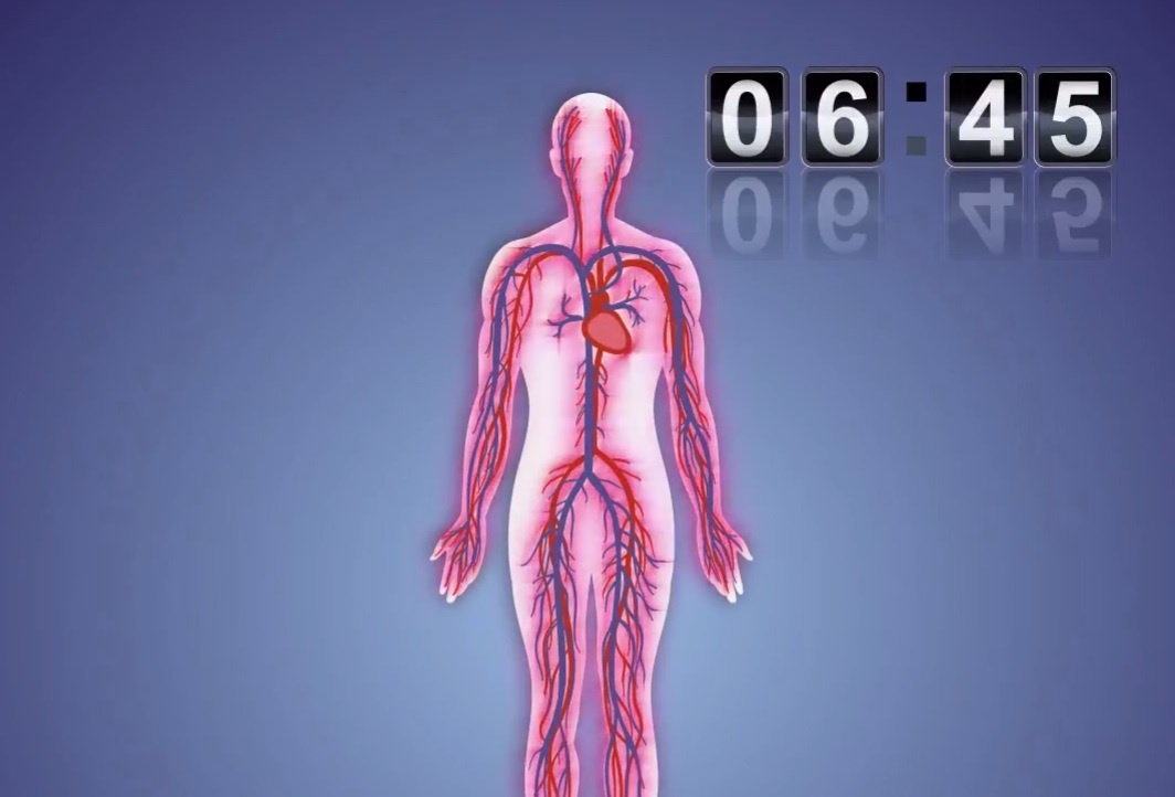 Co the hoat dong nhu the nao trong mot ngay? hinh anh