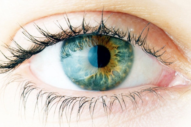 Nhung dieu thu vi ve doi mat co the ban chua biet hinh anh
