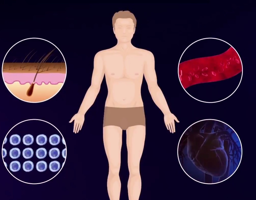 Co the con nguoi thay doi nhu the nao suot cuoc doi? hinh anh