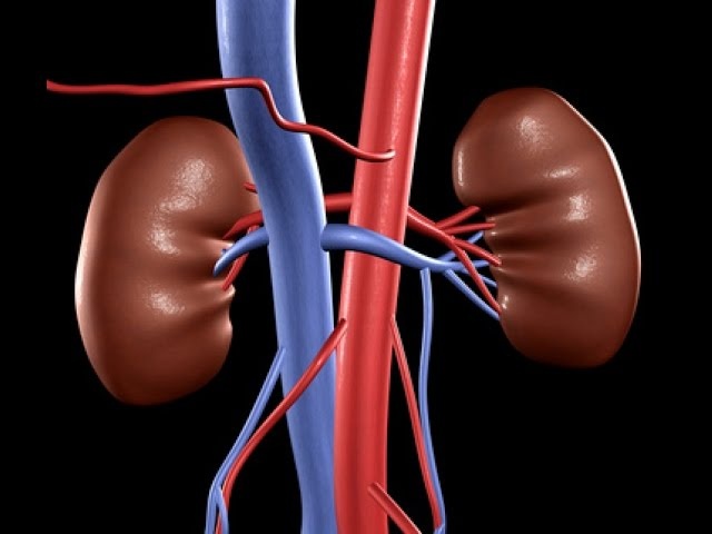 Thuc pham giai doc than hieu qua hinh anh