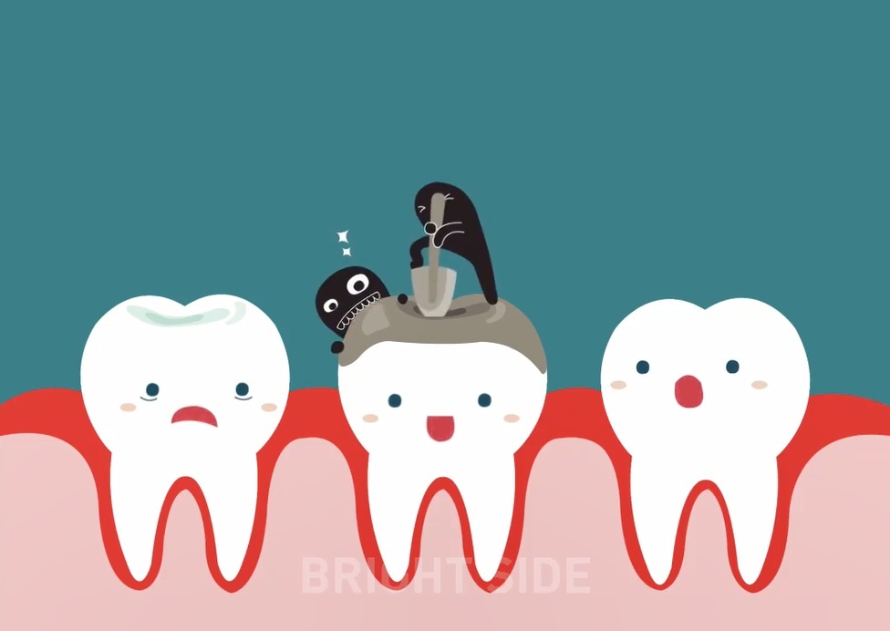 Rang sau hinh thanh va phat trien nhu the nao? hinh anh