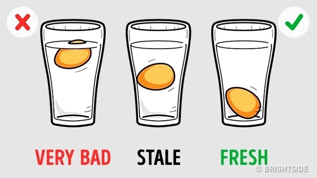 Kiem tra chat luong thuc pham anh 11