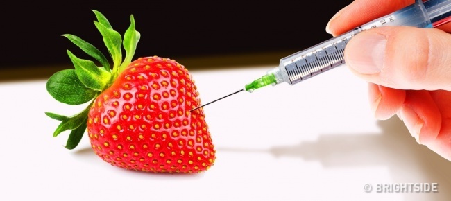 Kiem tra chat luong thuc pham anh 12