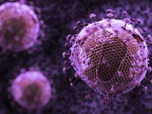 Tim ra khang the moi tieu diet duoc 99% virus HIV hinh anh
