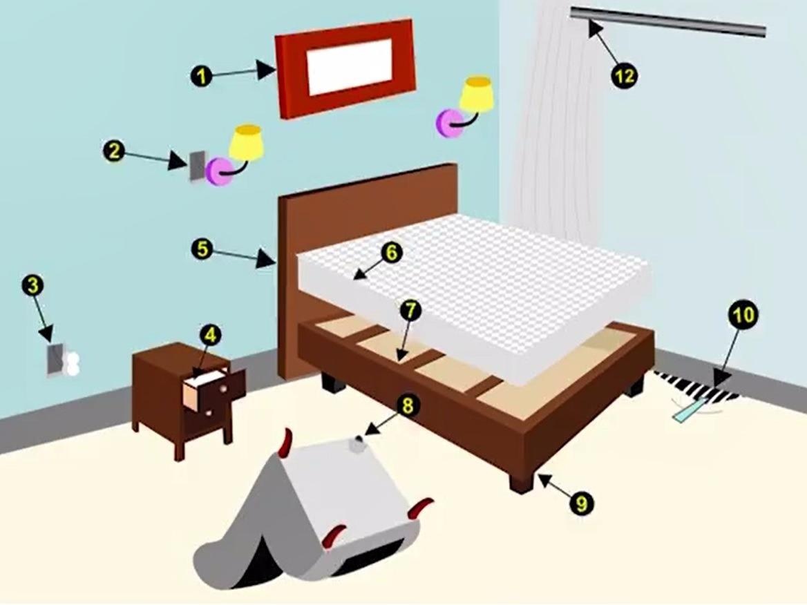 5 nguyen tac giup ngan ngua bo rep trong nha hinh anh