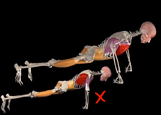 Tu the thuc hien chong day dung cach hinh anh