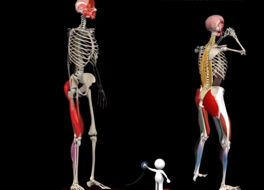 Ban da squat dung cach? hinh anh