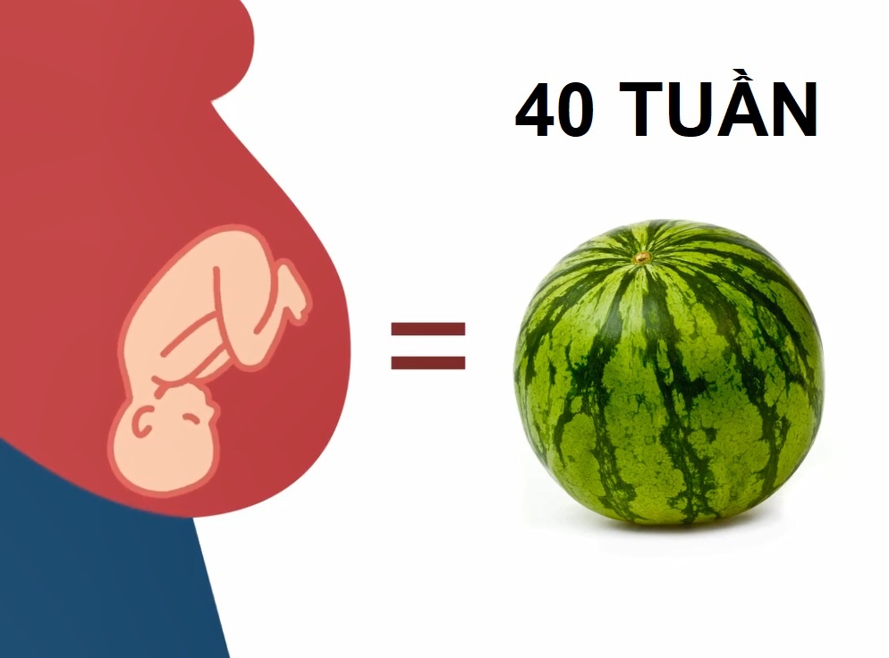 Thai nhi lon len trong bung me the nao? hinh anh