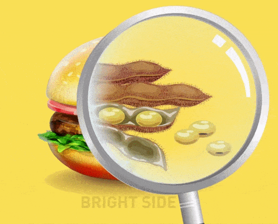 Xuc xich, thit kep banh my duoc lam bang gi? hinh anh