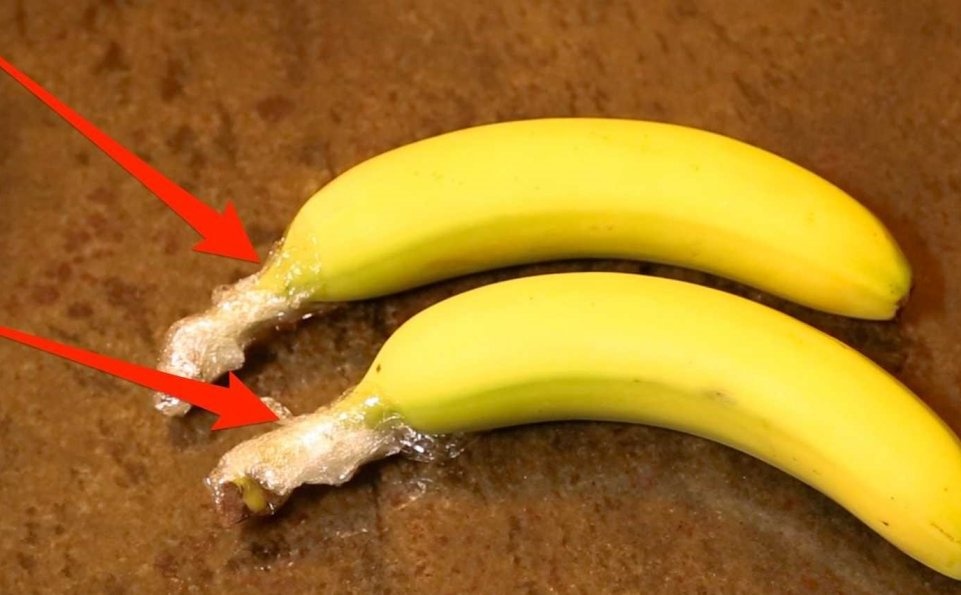 Cach bao quan rau cu qua tuoi lau hon cho ngay Tet hinh anh