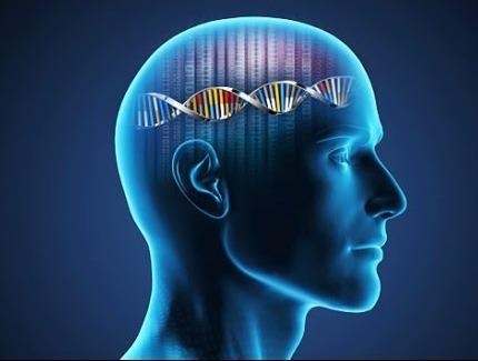 Nhung dieu ban chua biet ve DNA cua con nguoi hinh anh