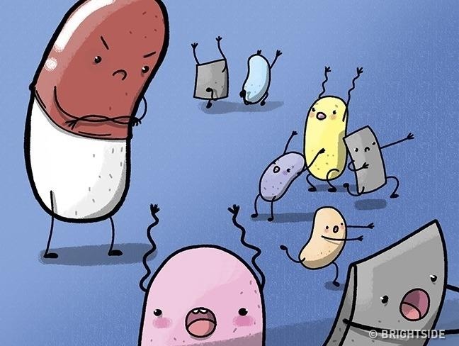 Nhung su that bat ngo ve vi khuan tren co the nguoi hinh anh