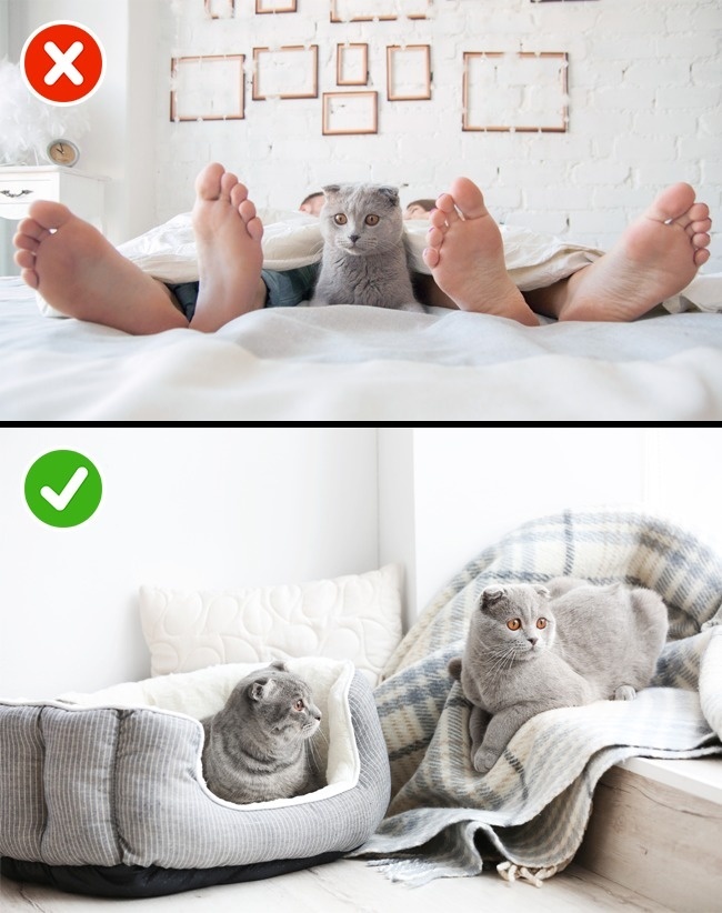 Thoi quen truoc khi ngu cho cap doi hanh phuc anh 6