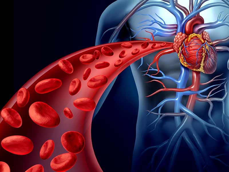 Su that ve nhom mau anh 2