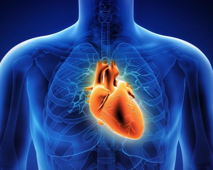 20 su that dang kinh ngac ve co the con nguoi hinh anh