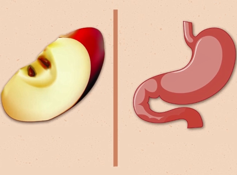 Nhung loai thuc pham giong cac co quan trong co the hinh anh