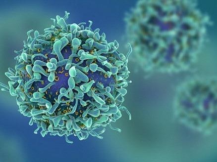 Thuoc dieu tri HIV dau tien an toan khi thu nghiem giai doan mot hinh anh