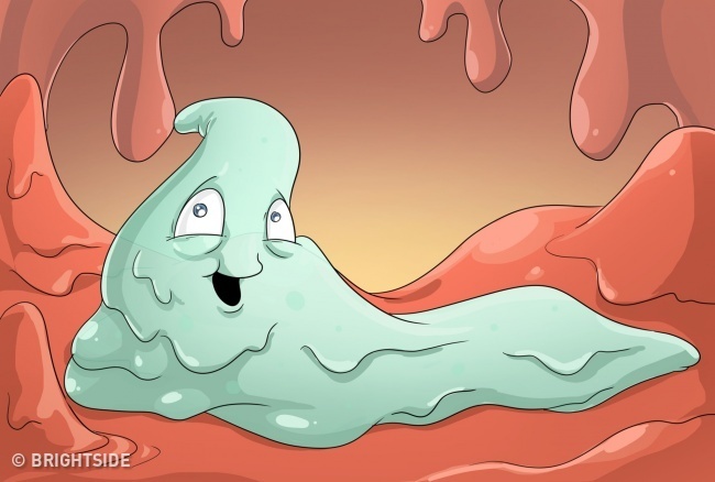 Mau sac cua dich mui anh 1