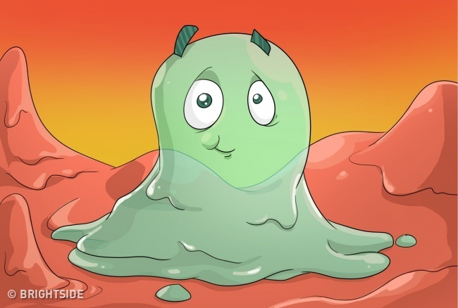 Mau sac cua dich mui anh 2