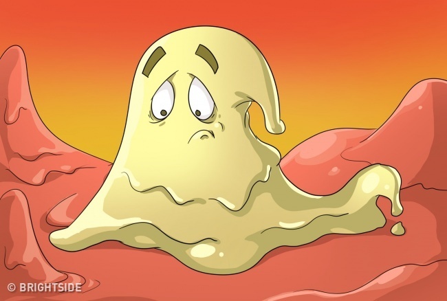 Mau sac cua dich mui anh 4