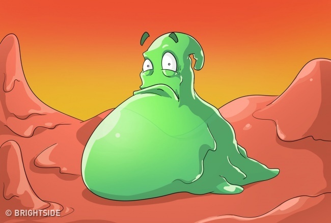 Mau sac cua dich mui anh 5