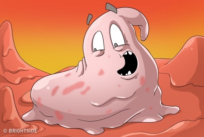 Mau sac cua dich mui anh 6