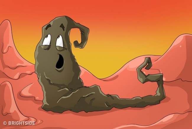 Mau sac cua dich mui anh 7