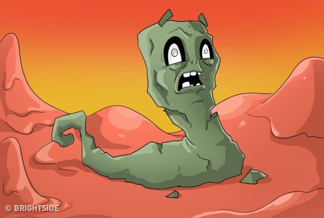 Mau sac cua dich mui anh 8