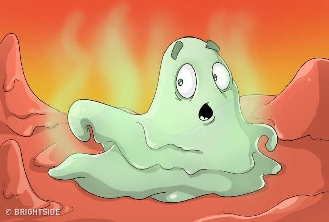 Mau sac cua dich mui anh 9