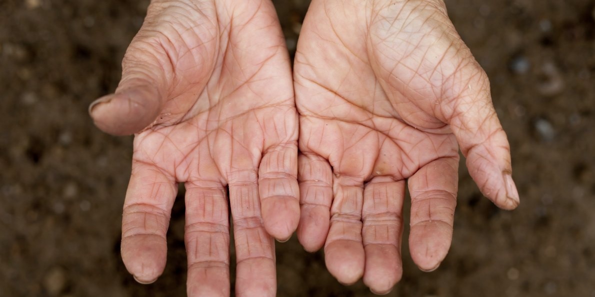 Ly do con nguoi co duong chi tay hinh anh