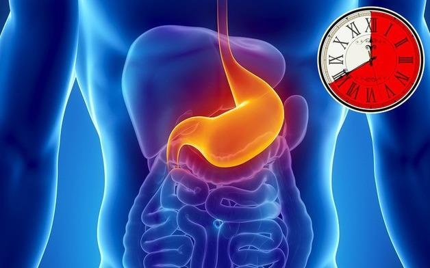 Mat bao nhieu thoi gian de da day tieu thu thuc pham? hinh anh