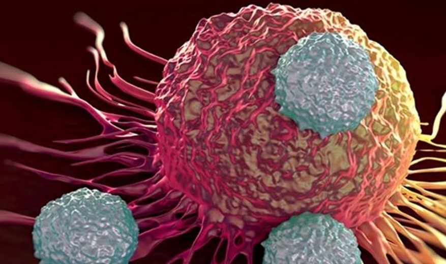 Chung ta da den gan voi thuoc chua ung thu? hinh anh