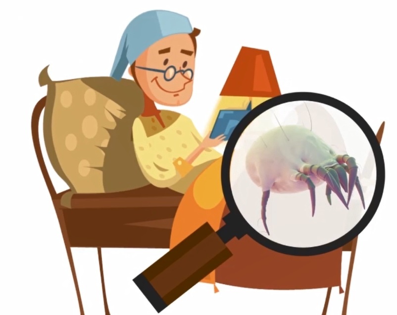 Cach loai bo ran, mat bui tren giuong ngu hinh anh