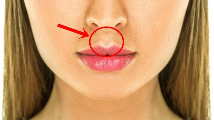 Tai sao con nguoi co nhan trung? hinh anh