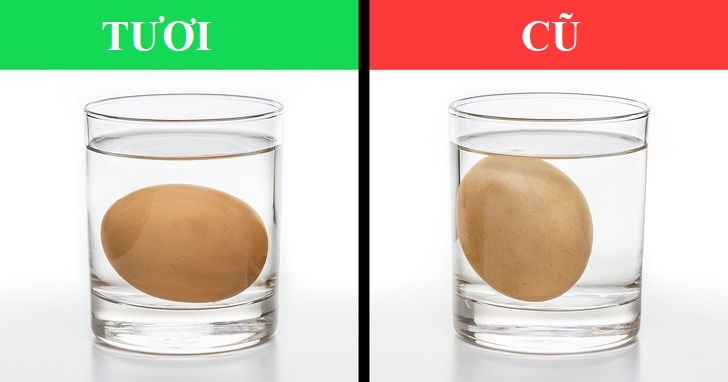 Kiem tra thuc pham anh 1