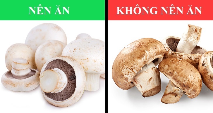 Kiem tra thuc pham anh 11