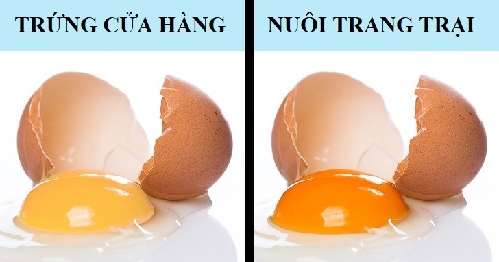 Kiem tra thuc pham anh 2