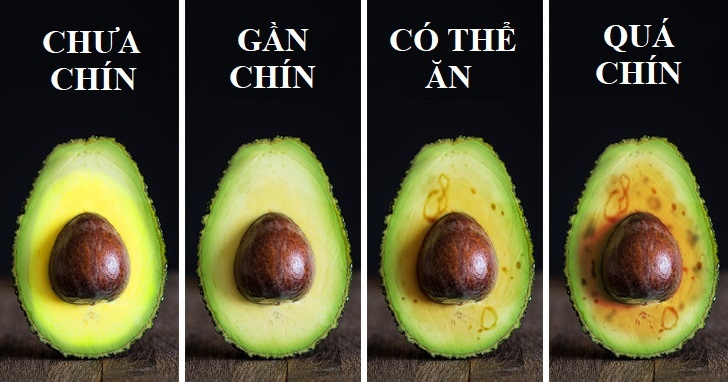 Kiem tra thuc pham anh 3