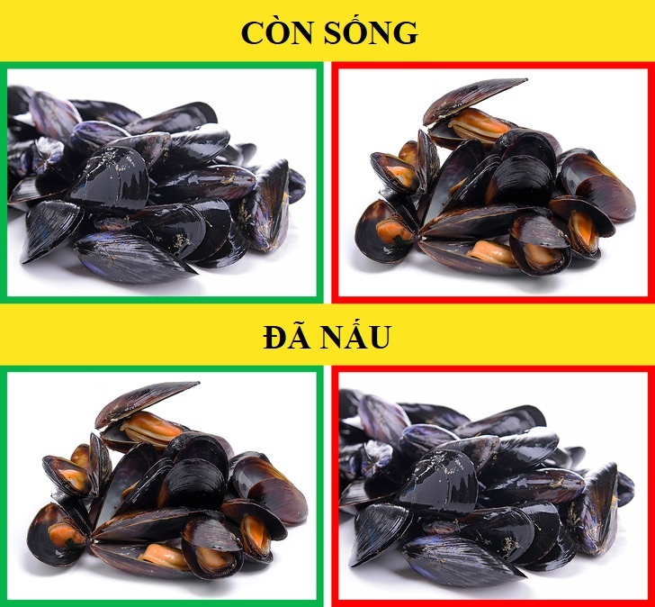 Kiem tra thuc pham anh 5