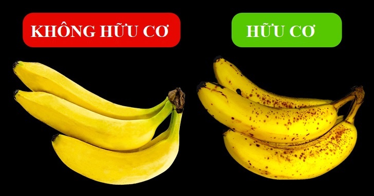 Kiem tra thuc pham anh 6