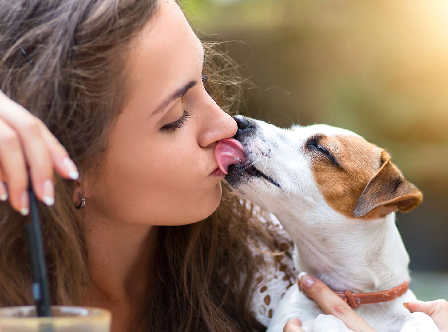 Tac hai khon luong khi hon vat nuoi hinh anh