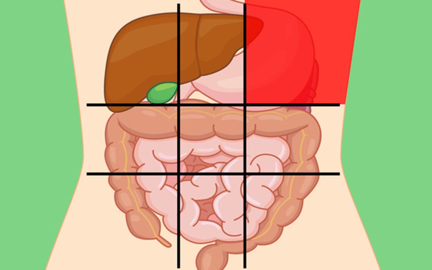 Dau bung canh bao van de suc khoe anh 3