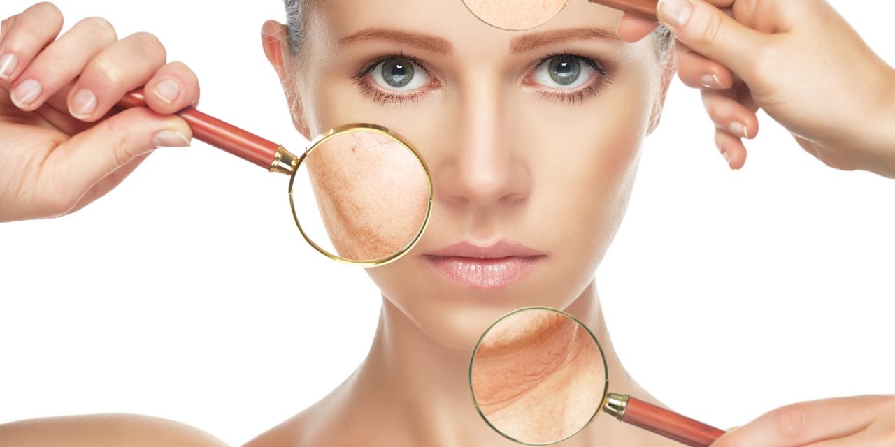 Co the vao mua dong anh 6