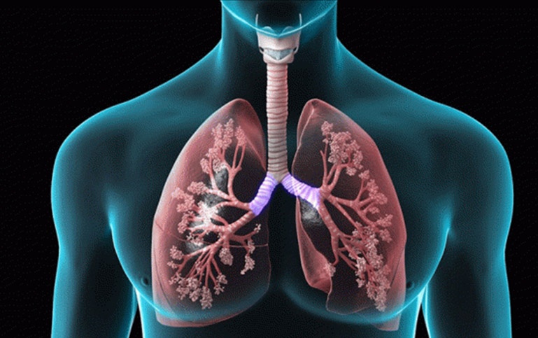 Cach loai bo nicotine ra khoi phoi nhanh chong hinh anh