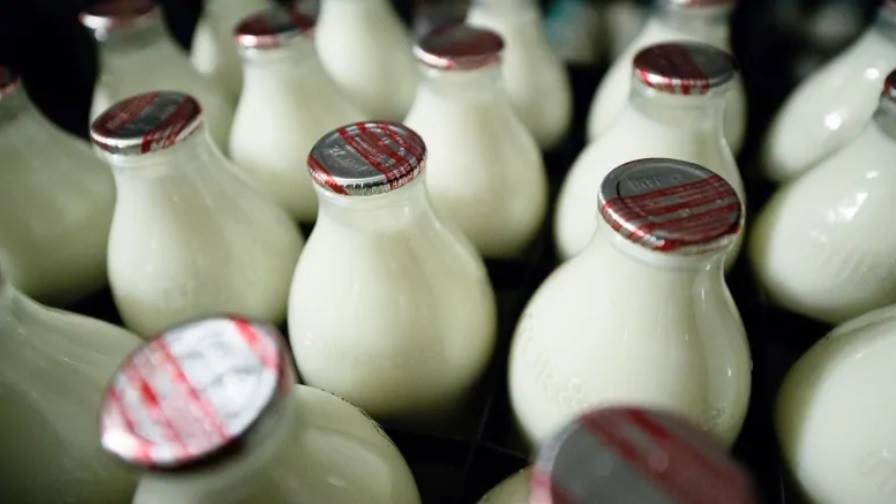 Sua bo gay tranh cai anh 1