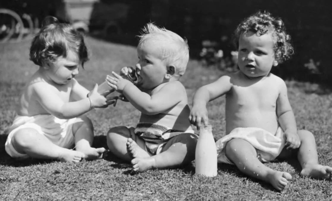 Sua bo gay tranh cai anh 2