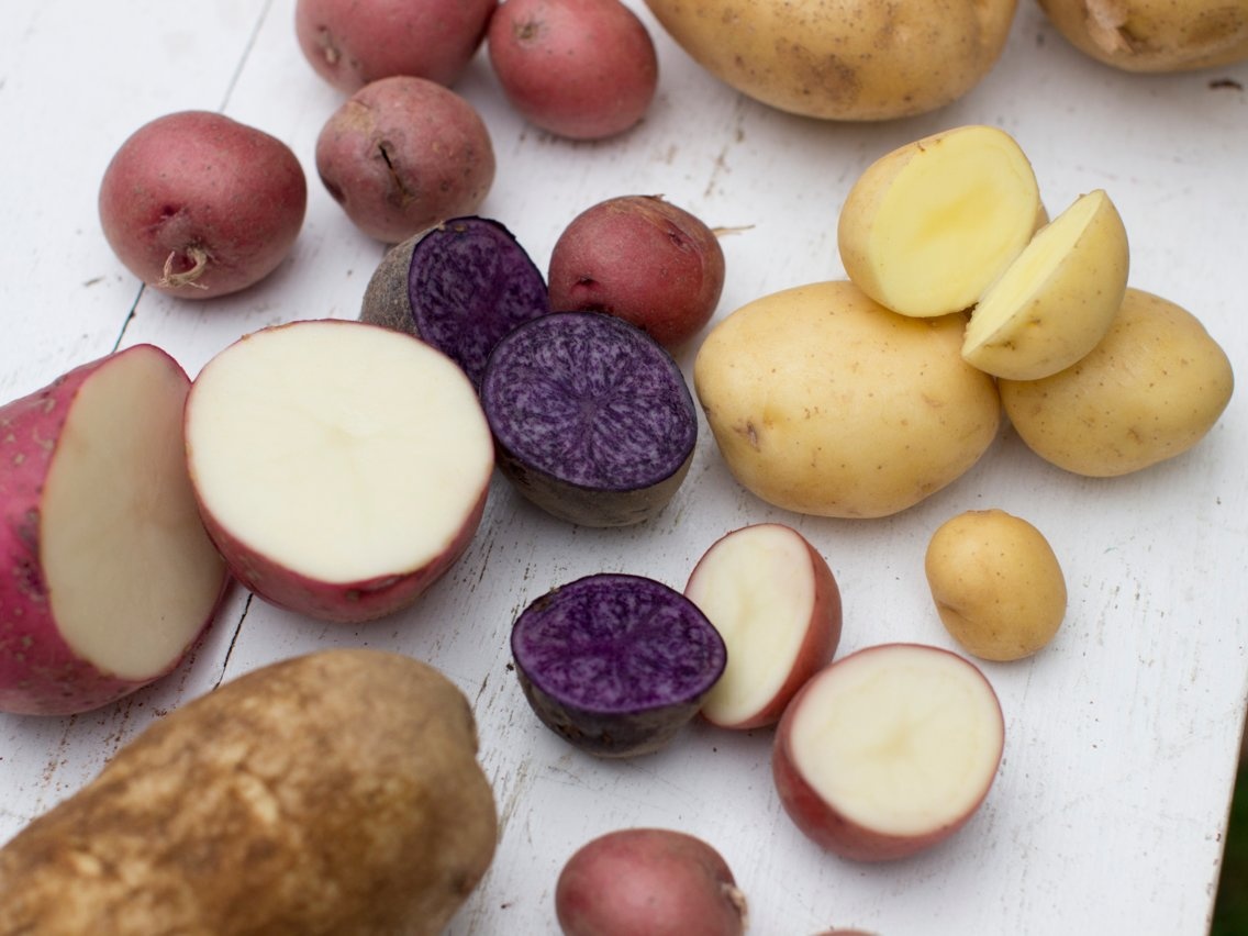 Thuc pham gay ngo doc anh 1