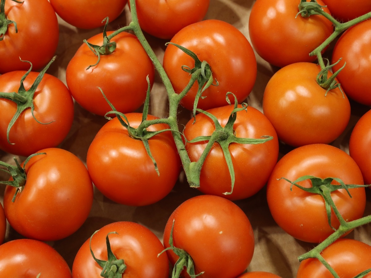 Thuc pham gay ngo doc anh 6