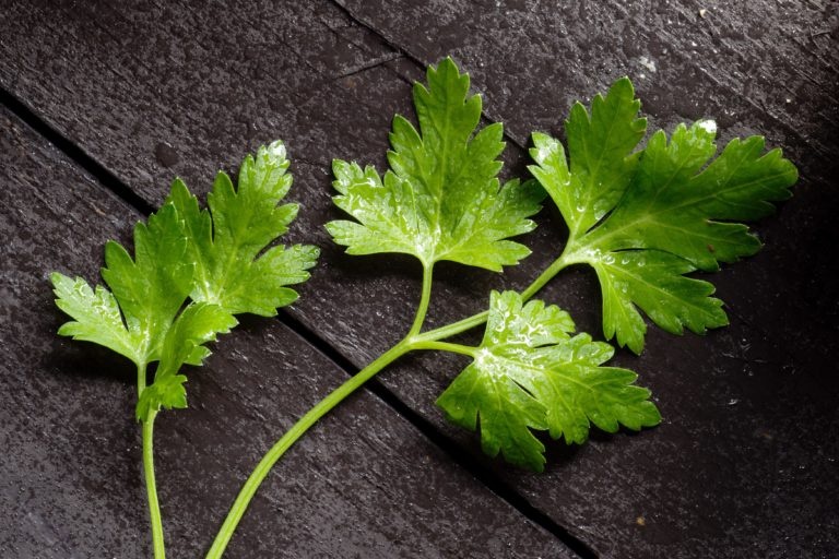 Loai bo hoi tho mui toi anh 1